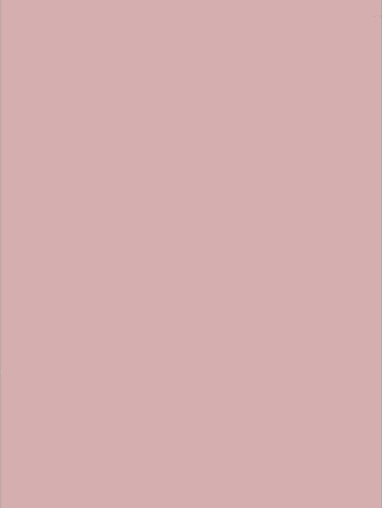 NF03/S238 - Blush rose