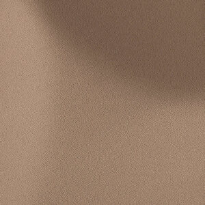 PNC41 – Aspero Brown