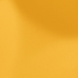 S146 – Sunflower