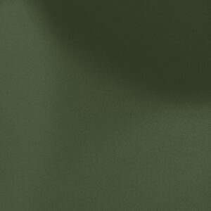 S202 – Moss