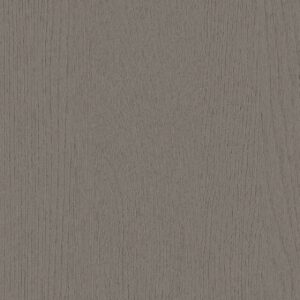 NH16/PNT08 – Foggy Forest