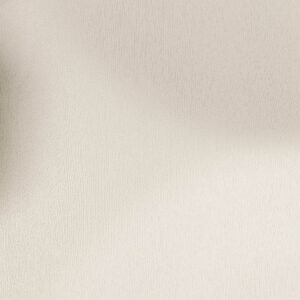 PNT02 – Crispy Light Grey