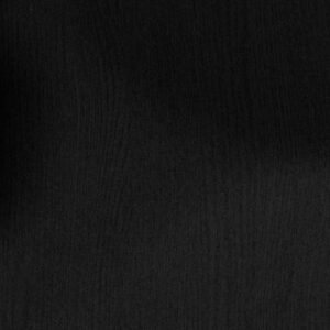 PW110 – Pictis Obscura