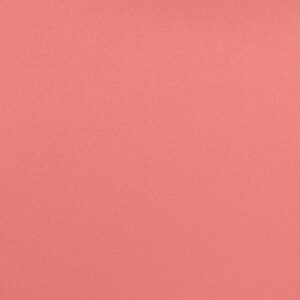 SC360 – Rosielle
