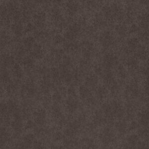 AB011 – Nexus